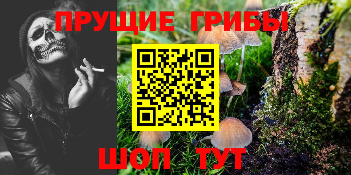 купить  сайты  Вход с VPN  Златоуст  Псилоцибиновые грибы Psilocybe 