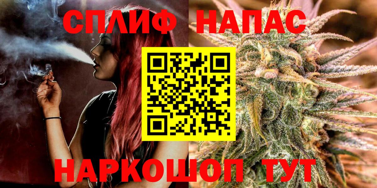 Канабис сатива Златоуст
